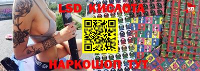 индика Будённовск
