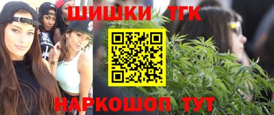 индика Будённовск