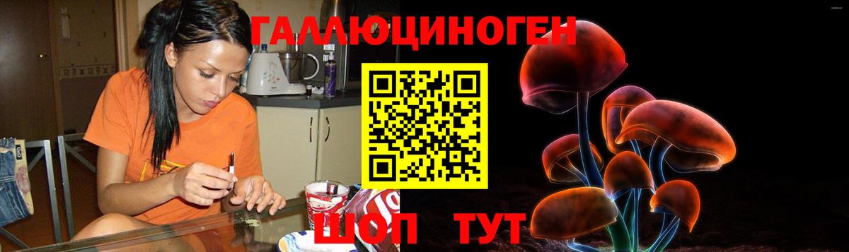 купить   Галлюциногенные грибы прущие грибы  Вход с VPN  Рязань 